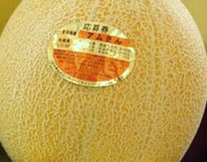メロンあれこれ_b0044404_11191459.jpg