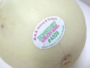 メロンあれこれ_b0044404_1153179.jpg