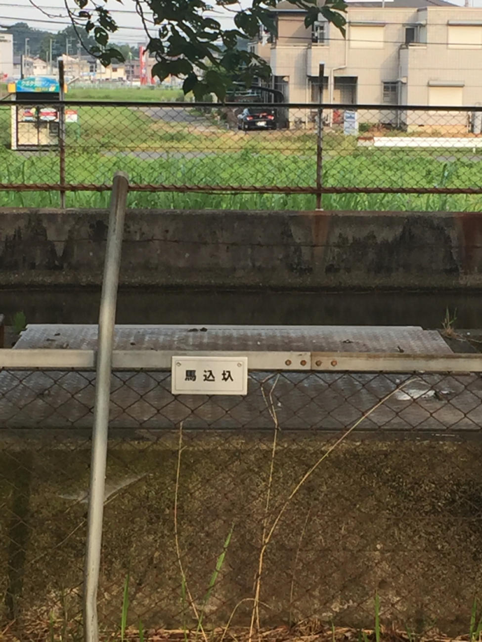 古代蓮の里_f0296312_22341798.jpg
