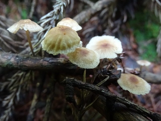 f0360815_16134502.jpg