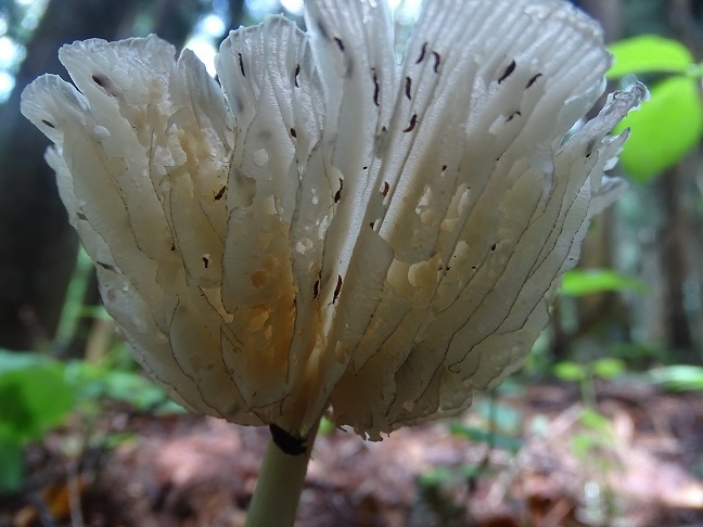 f0360815_16134611.jpg