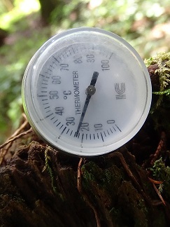 f0360815_16134766.jpg