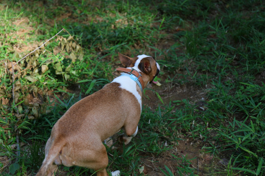 b0310424_20121747.jpg
