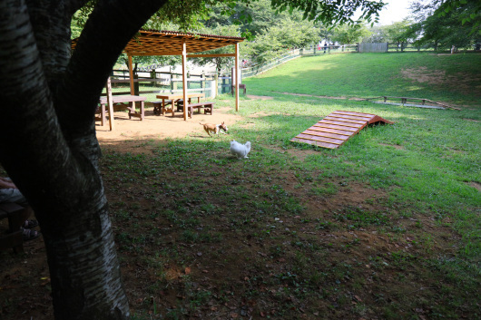 b0310424_20123075.jpg