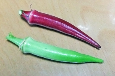 f0045132_18391323.jpg