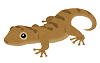 d0369739_14011490.png