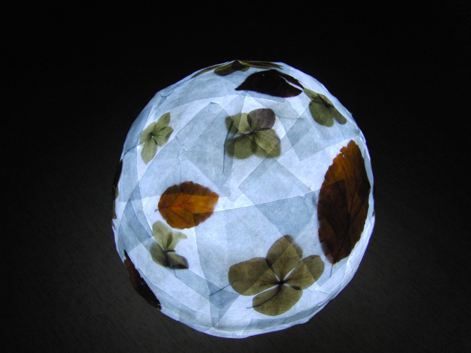 e0222340_741352.jpg