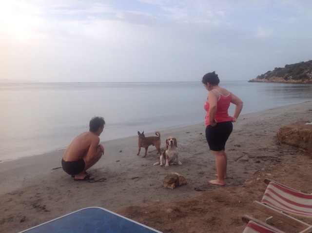 b0069848_06243337.jpeg