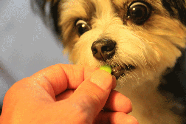 c0145250_15013698.gif