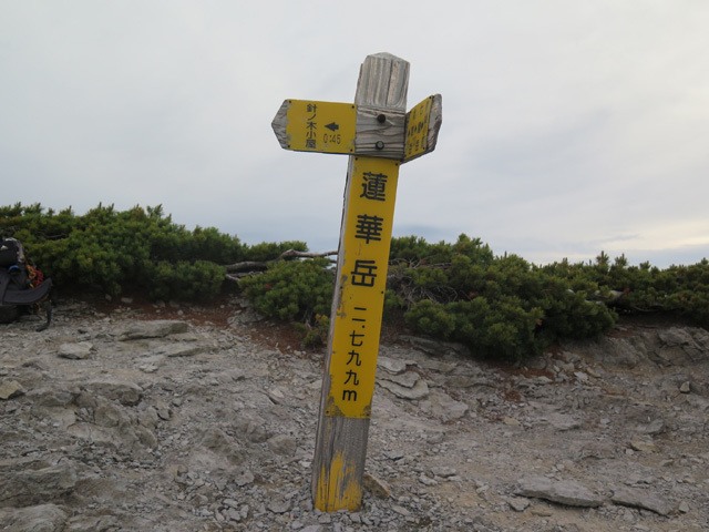 2017年7月15日～16日　針ノ木岳・七倉岳縦走（２日目）_c0116856_21540662.jpg