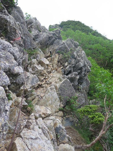 2017年7月15日～16日　針ノ木岳・七倉岳縦走（２日目）_c0116856_22021640.jpg