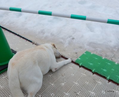 真夏の雪まつり_e0364056_11291852.jpg