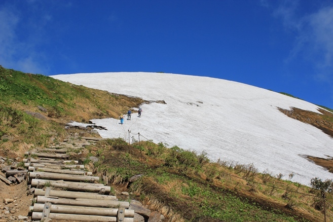 月山　夏山_e0239458_20450016.jpg