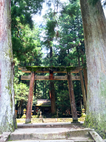 奈良 龍穴神社の滝と陀羅尼助_e0136066_09412089.jpg