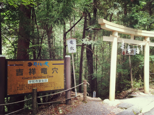 奈良 龍穴神社の滝と陀羅尼助_e0136066_09412186.jpg
