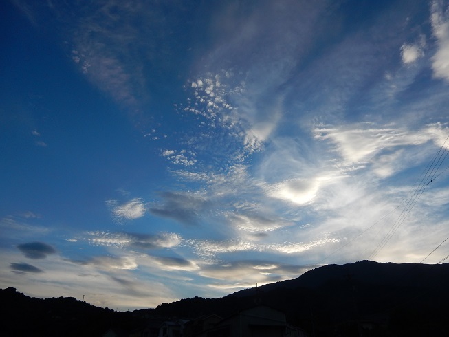 梅雨明け_e0175370_21524750.jpg