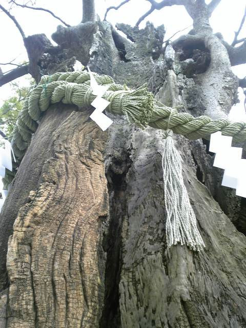 20110103新田神社twiっと旅(写真等補完)_b0116271_16593845.jpg