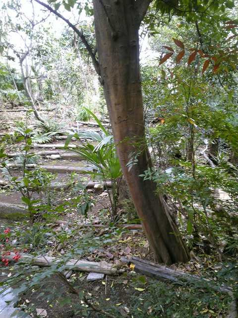 20110103新田神社twiっと旅(写真等補完)_b0116271_17052120.jpg