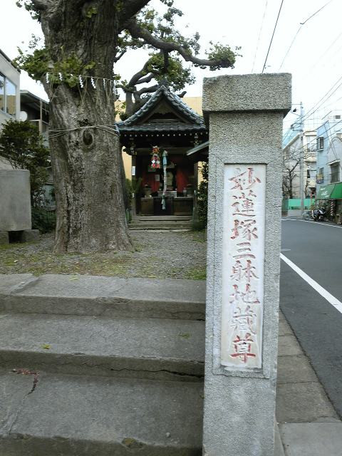 20110103新田神社twiっと旅(写真等補完)_b0116271_17061756.jpg