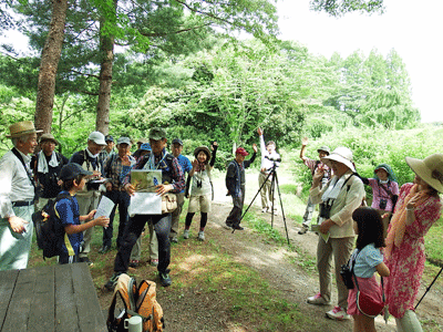 県民の森野鳥クラブ　2017年7月の様子_f0140773_10331805.gif