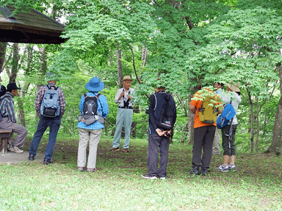 f0140773_10331965.gif