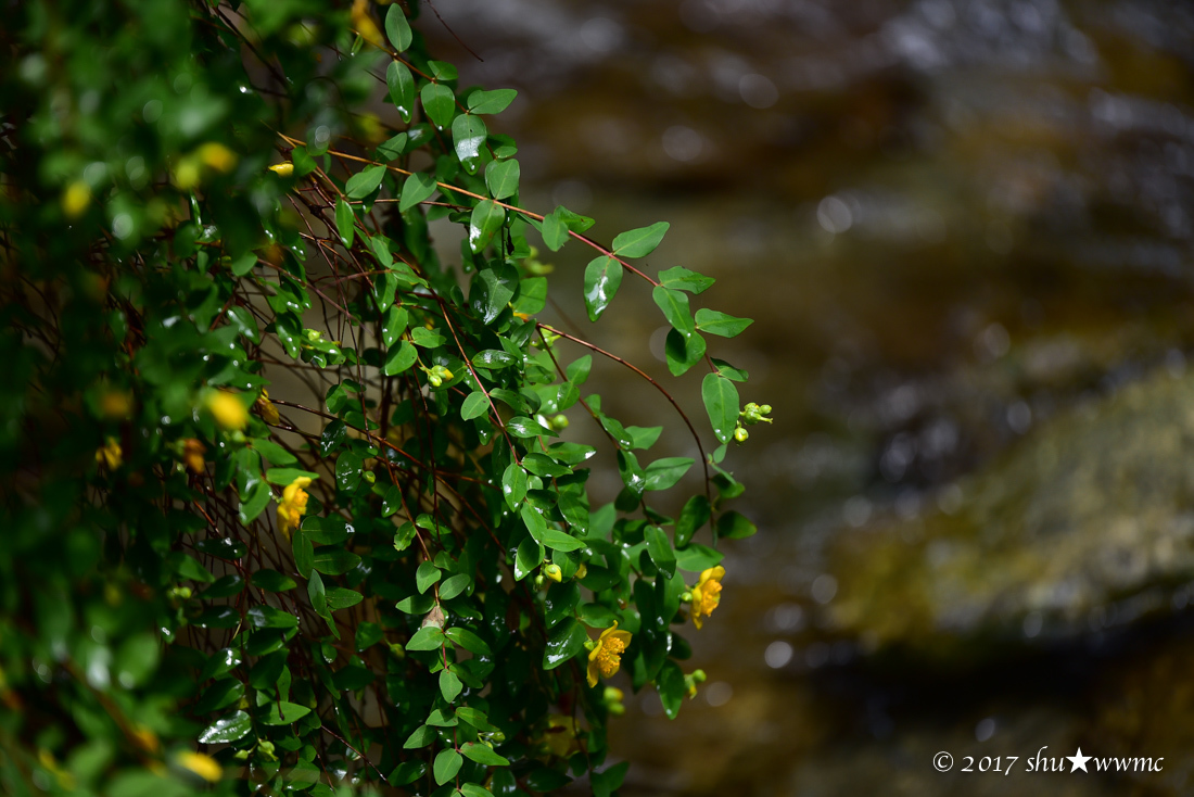 a0142976_07442093.jpg