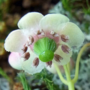 f0083977_06182566.jpg