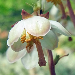 f0083977_06210491.jpg