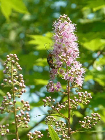 f0083977_06245122.jpg
