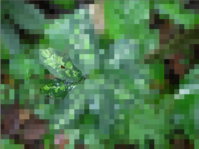 a0067578_12441622.png