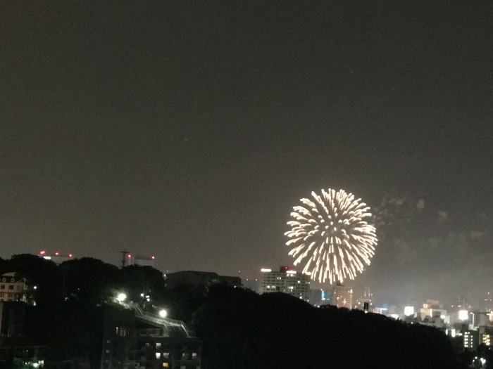 港の見える丘公園での花火 横浜山手ガーデニング倶楽部 港の見える丘公園での花火 横浜山手ガーデニング倶楽部