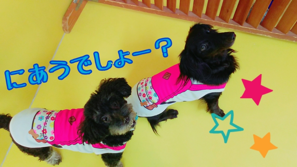 かわいいでしょ?💕_f0357682_20140409.jpg