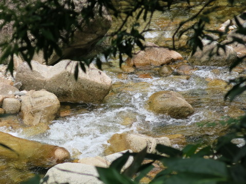 カレーで 暑気払い !_d0098183_15342009.jpg