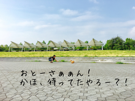 b0370192_08581999.jpg
