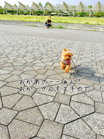 b0370192_08582073.jpg