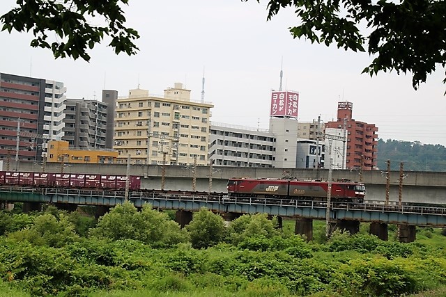 d0181492_07333665.jpg