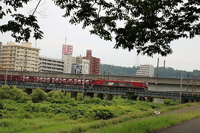 d0181492_07363403.jpg
