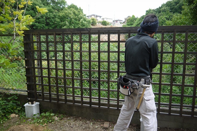寄せ植えとバラの庭の工事_a0233896_16274754.jpg