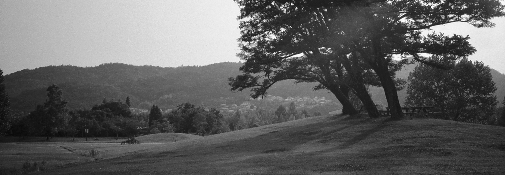 f0362503_07473380.jpeg
