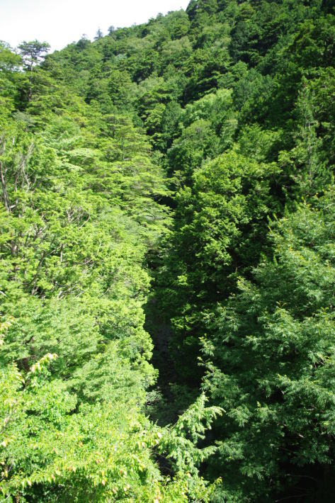 d0341514_10561899.jpg
