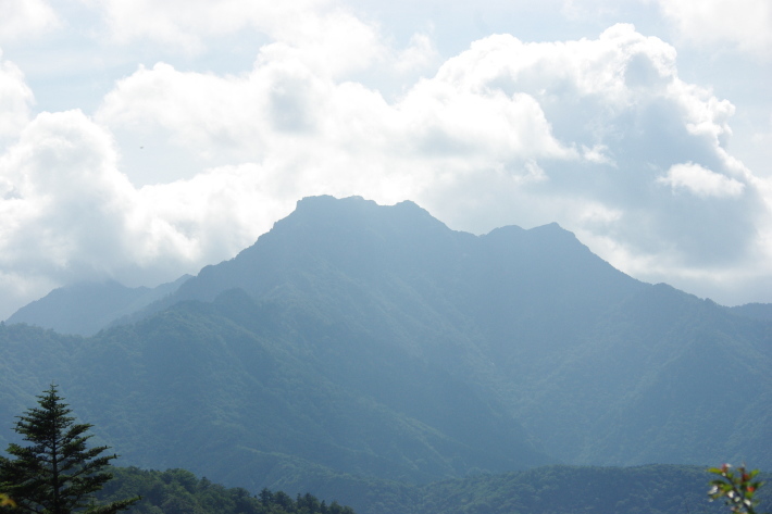 d0341514_10592985.jpg