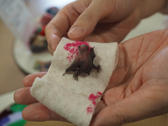 最高のマインクラフト 綺麗なコウモリ の 食べ物