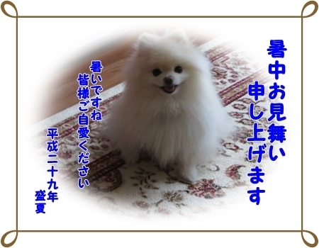 b0167519_09514999.jpg