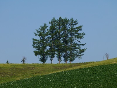 c0227720_17522015.jpg