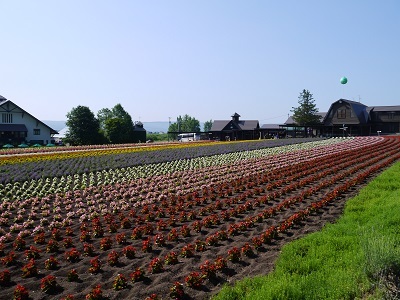 c0227720_18314765.jpg