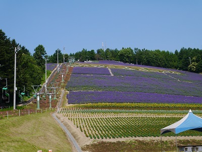c0227720_23072063.jpg