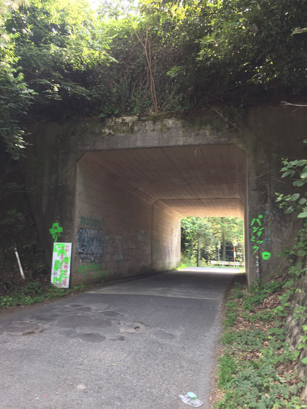 c0176622_13421402.jpg