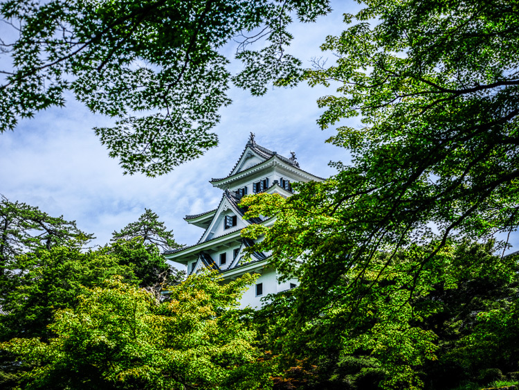 郡上八幡城_f0129532_19410051.jpg