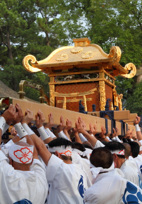 住吉祭　神輿洗神事_e0353539_16242226.jpg