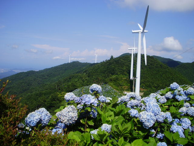 e0060041_20003067.jpg